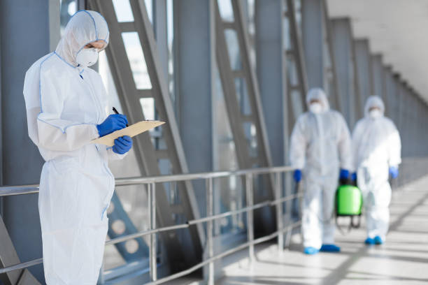 Best Attic Mold Removal  in Chalmette, LA