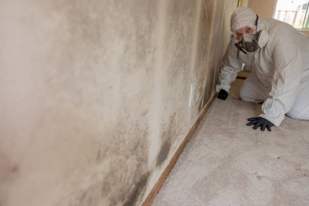 Best Forensic Mold Investigation  in Chalmette, LA