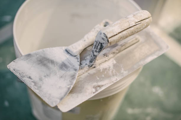 Best Mold Remediation for Vacation Homes  in Chalmette, LA