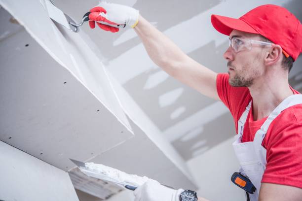 Best Environmental Consulting for Mold Prevention  in Chalmette, LA
